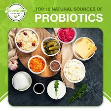 Top 12 Natural Sources of Probiotics – Nourishme Organics