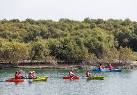 Zayed street abu dhabi, eastern mangroves hotel & spa abu dhabi tel: Why The Uae S Mangroves Are So Important And How To Save Them The National