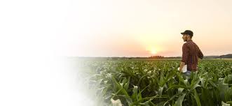 Find 30 listings related to indiana farm bureau insurance in evansville on yp.com. Farm Crop Insurance Indiana Farm Bureau Insurance
