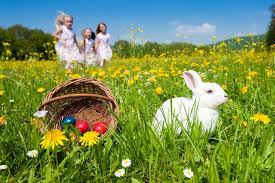 A cette occasion, aaa organise une chasse aux œufs pour tous nos étudiants du mardi 23 jusqu'au vendredi 26 avril 2019. 10 Endroits Au Quebec Pour La Chasse Aux Oeufs De Paques Circulaire En Ligne