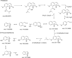Image result for Polygala sadebeckiana