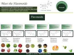 Plant Extracts 101 Part V Phytochemicals In Cosmetics
