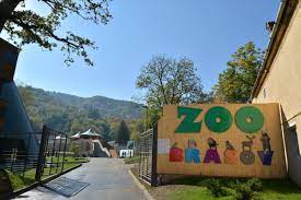Gradina zoologica brasov braşov •. GrÄdina ZoologicÄ Brasov