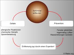 Den schimmel entfernen und gesund weiterleben ist das ziel vieler besucher. Exklusiv Nachhaltig Schimmel Entfernen Und Krankheiten Vorbeugen