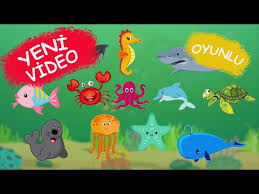 Deniz Hayvanlarinin Seslerini Ve Isimleri Ogreniyoruz Youtube