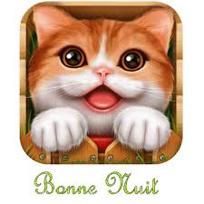 Https Encrypted Tbn0 Gstatic Com Images Q Tbn 3aand9gcqeqznp1e3pnm9blgtwem5g9lfk9crfq95q9a Usqp Cau