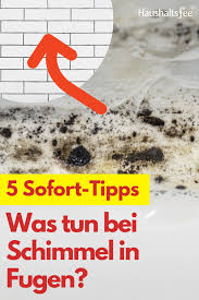 Fugen Schimmel Entfernen Einfach Und Schnell Haushaltsfee Org In 2020 Schimmel Entfernen Schimmelbefall Schimmel