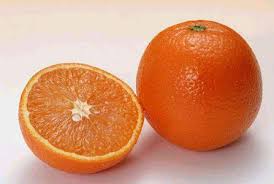 Orange seeds begin losing viability as soon as you remove them from the fruit, so make sure you're prepared before you cut open the orange. Orange Valencia Seeds Fruit Tree Zhong Wei Horticultural Products Company Top Quality Plant Seeds Vegetables Trees Herbs