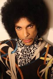 Was Prince mixed race?