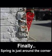 Funny Pictures 56 Pics Funny Puns Funny Pictures Humor