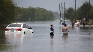 De 1e kaart geldt voor de ochtend uren, de tweede kaart voor de avond uren). Giftige Vuurmieren Drijven Door Overstroomde Straten Houston Nos