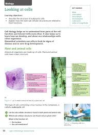 The axon (the main extension of cytoplasm away. Aqa Gcse 9 1 Biology Student Book By Collins Issuu