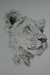 Pin Ot Polzovatelya Hilary Van Patten Na Doske Bodyart Inspirations Tatuirovka Lvica Risunki Zhivotnyh Koshachi Kartiny