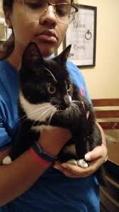 Is there a plan for surgery for the injured animal