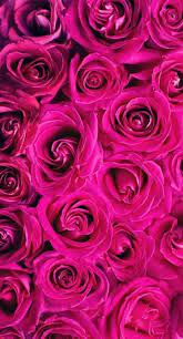 49 Ideas Flowers Pink Wallpaper Posts Pink Roses Background Hot Pink Wallpaper Pink Wallpaper Iphone