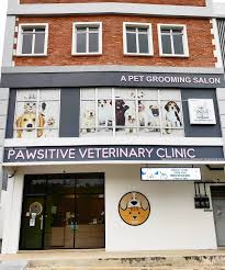 PAWSITIVE VETERINARY CLINIC