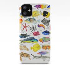 Pen And Ink Watercolored Fish Species Chart Iphone Case By Hannahjakob