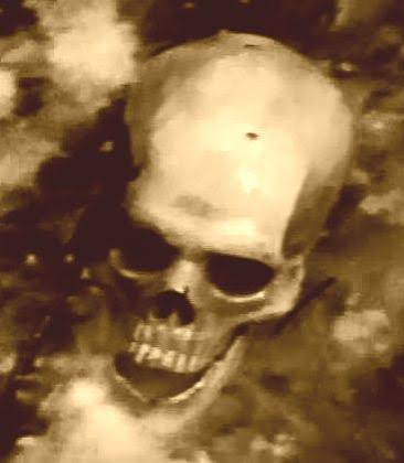 Screaming Skulls: Folklore, Fact and Fiction - The Haunted Palace Blog