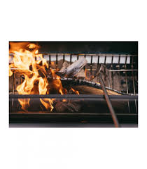A review of the solo stove vs. Bbqs Grills Biolite Firepit Firepoker Gaskocher Backofen Bbqs