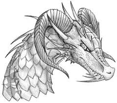 How to draw dragon drawings. Cool Dragon Draw Drone Fest
