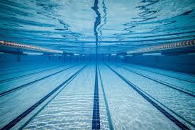 Dimensions Et Volume D Une Piscine Olympique Guide Piscine Fr