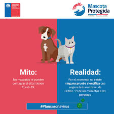 El registro nacional de mascotas registra 1.529.576 animales inscritos en el país desde su creación en 2019. Tenencia Responsable On Twitter Con La Llegada Del Covid 19 Han Llegado Tambien Mitos Respecto A Lo Que Ocurre Con Nuestras Mascotas El Programa De Tenencia Responsable De Animales De Compania Te