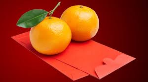 Image result for  chinese spring festival