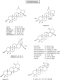 Image result for Diospyros inhacaensis