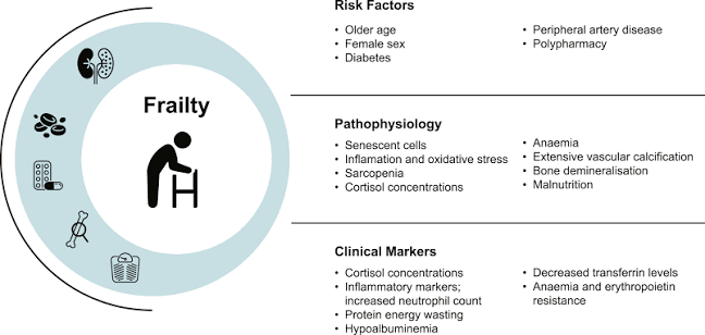 Narrative Review: Clinical Implications and Assessment of Frailty in  Patients With Advanced CKD - Kidney International Reports