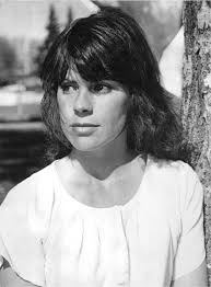 Warholstars by Gary Comenas