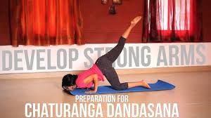 Develop Strong Arms Preparation For Chaturanga Dandasana Video Chaturanga Dandasana Chaturanga Pilates Reformer Exercises