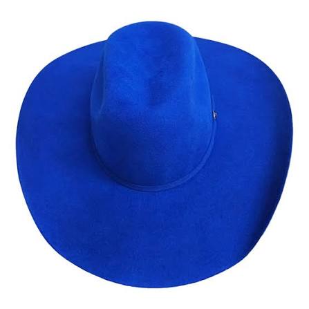 Gone Country American Royal Blue - Wool Cashmere Cowboy Hat – Russell's  Western Wear, Inc.