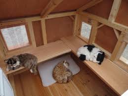 Insulated Cat Cottage 36 X 37 Interior Ledges Escape Hatch Outdoor Cat House Cat House Diy Heated Outdoor Cat House