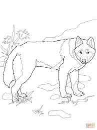 This is a dingo coloring sheet. Pin On Applique