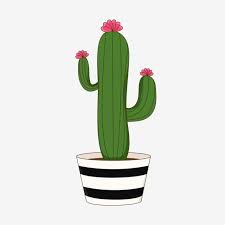 Vas kaca botol kaca bunga mawar hiasan pasu. Gambar Cute Kartun Kaktus Kaktus Berbunga Comel Kartun Kaktus Png Dan Vektor Untuk Muat Turun Percuma Bunga Kaktus Poster Bunga Tanaman Kaktus
