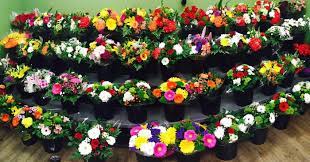 Top free images & vectors for forest of flowers london ontario in png, vector, file, black and white, logo, clipart, cartoon and transparent. Forest Of Flowers London Ontario Florists Flowers Bouquets Gifts Birthdays Weddings Funerals Anniversary Celebrations Get Well Friendship Custom Flower Arrangements Custom Bouquets Flower Delivery In London Ontario In London