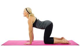 7 Yoga Poses For Yoga Newbies Video Yoga Poses For Beginners Yoga Moves Easy Yoga Poses