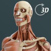 Minor corrections and bug fixes. Visual Anatomy 3d Human 1 2 Apk Download Com Graphicvizion Visualanatomyhumanfr