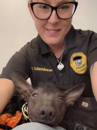 We are ecstatic to share that Lucy is the first official therapy dog -- or  should we say puppy -- for the Town of Tonawanda Police Department 🥰 Lucy  is a gift