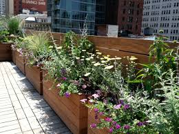 Maybe you would like to learn more about one of these? Nyc Backyard Rooftop Garden Designer For The Beautifully Wild Alexandra Abuza