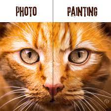 Learn to draw a cat step by step images along with basic drawing instruction. Digital Art How To Paint Fur Steemit