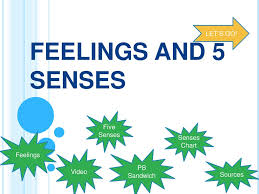 Feelings And 5 Senses Lets Go Five Senses Senses Chart