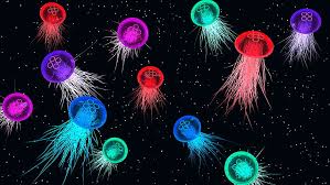 We did not find results for: 4098x768px Free Download Hd Wallpaper Jellyfish Space Multi Colored Black Background No People Wallpaper Flare
