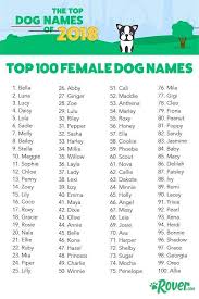 Unique Puppy Names Female Dogs Puppy Names Female Unique In 2020 Dog Names Female Dog Names Cute Puppy Names