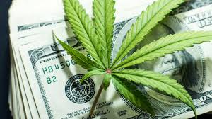 7 Charts That Should Concern Marijuana Stock Investors