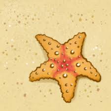 1.3k views # crab# deal# patrick# squidward# theme# villain# animated# barnacles# gary# official# online# plankton# premiere# sandy# series# spongebob# squirrel# starfish# television#watch 3ro Basico Vocabulary Sea Animals Class 75 Lessons Blendspace