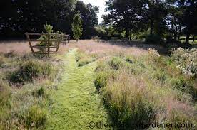 Maybe you would like to learn more about one of these? Wild Places Wild Flowers Summer The Anxious Gardener