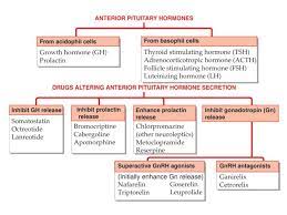 Pin By Tarah David On Pharmacology Medical Mnemonics Pharmacology Pharmacology Flash Cards