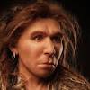 Compared to modern humans, neanderthals had a more robust build and proportionally shorter limbs. Https Encrypted Tbn0 Gstatic Com Images Q Tbn And9gcr1 Lr9z3daj8p6d9gu1b1jj6kqckt1djx4rje5d4xs7gs2cza0 Usqp Cau