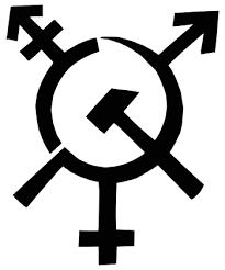 Résultat de recherche d'images pour "Antifa hammer and sickle"